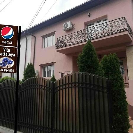 Casa Cattleya Hotel Târgu Jiu Buitenkant foto