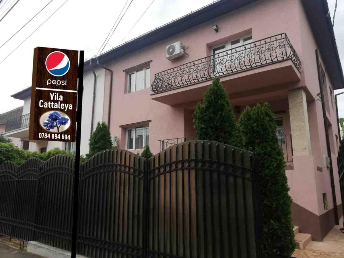 Casa Cattleya Hotel Târgu Jiu Buitenkant foto